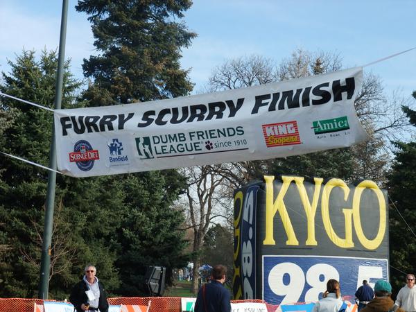 Dog Friendly Running Events