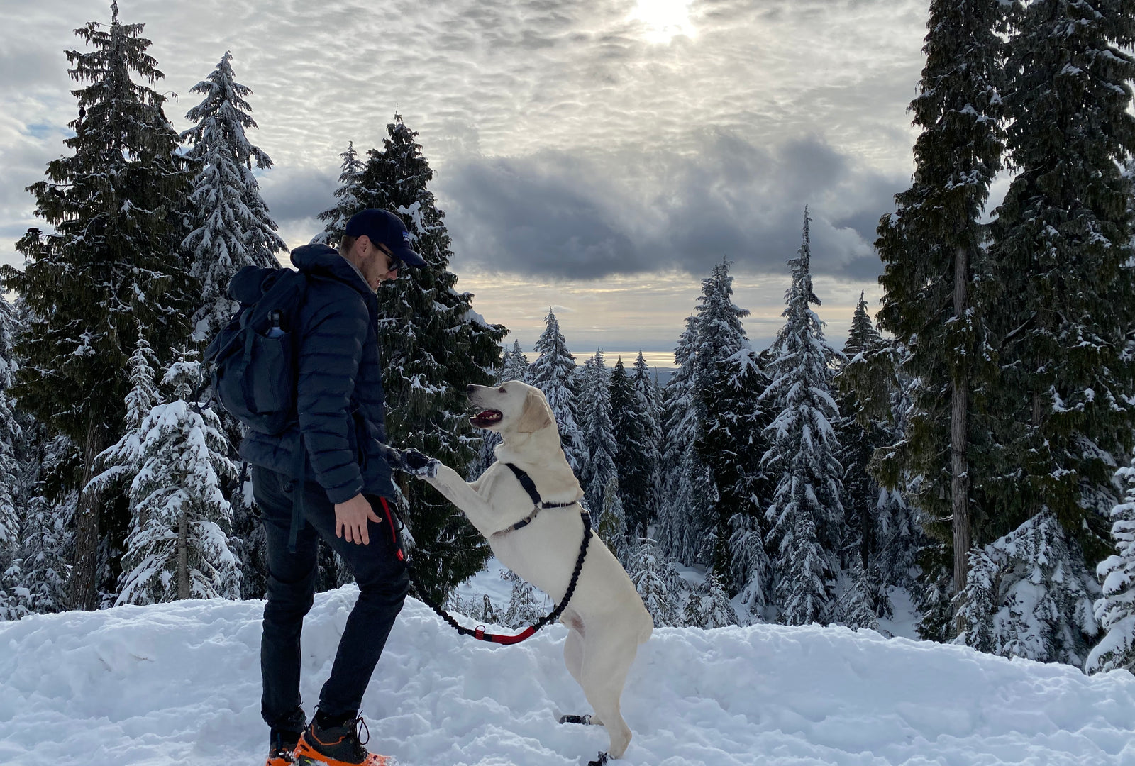 How to Hike with Your Dog